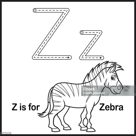 Flashcard Letter Z Is For Zebra Vector Illustration Stock Illustration