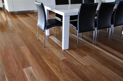 Spotted Gum Free Sample Mm Engineered Timber Flooring