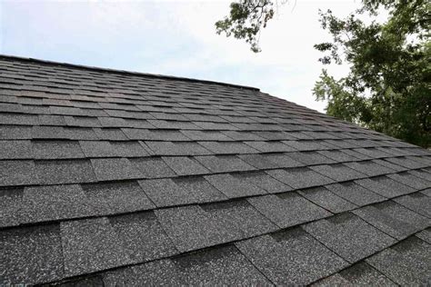 How To Clean A Shingle Roof In 5 Steps