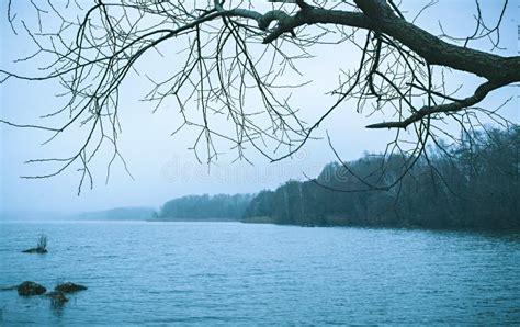 Bleak Cold Winter Lake Landscape Stock Photo Image Of Lake Tree