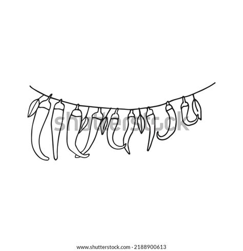 Vector Illustration Hot Chili Pepper Doodle Stock Vector Royalty Free Shutterstock