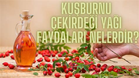 Kuşburnu Çekirdeği Yağı nedir Kuşburnu Çekirdeği Yağı nasıl kullanılır