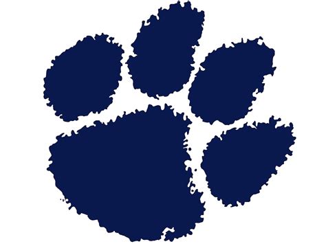 Chatham Cougars - Official Athletic Website – Chatham, NJ