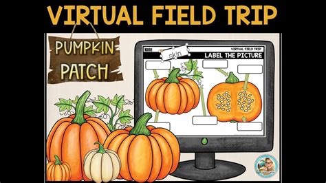 Pumpkin Patch Virtual Field Trip Youtube