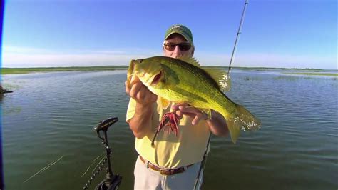 Proven Swimming Jig Tactics For Largemouth Bass Youtube