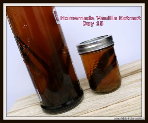 Homemade Vanilla Extract - Day 15 Update - 5 Star Cookies