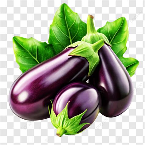 Green And Healthy Realistic Eggplants Green And Healthy Eggplants