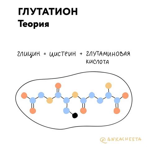 Что такое глутатион, его роль в организме. Норма и дефицит