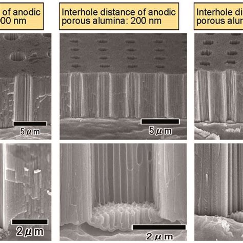 Sem Images Of Micro Nano Hierarchical Structures Fabricated From Anodic