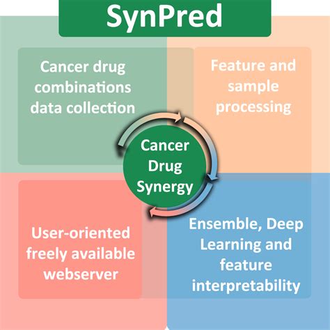 Synpred Prediction Of Drug Combination Effects In Cancer Using Full