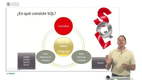 Bases De Datos Propiedades Y Almacenamiento Lenguaje De Consulta