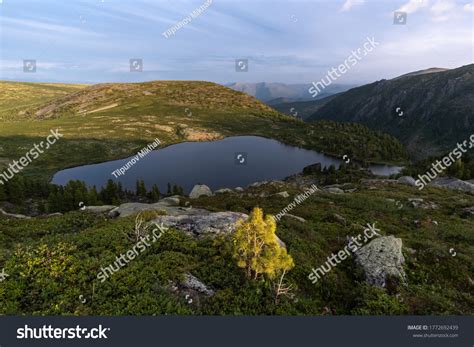 Rassokha Images, Stock Photos & Vectors | Shutterstock