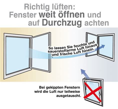 Schimmel Am Fenster Wie Er Entsteht Und Was Man Tun Kann