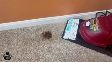 Compass Carpet Repair Carpet Patch Repair In Mason OH 45040 YouTube