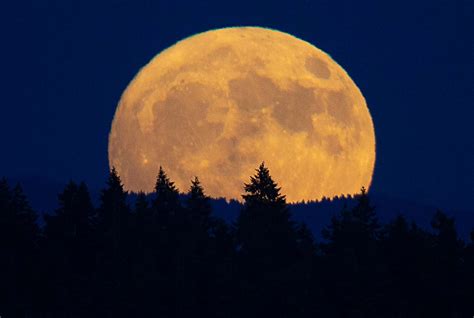 Supermoon August 2024 Usa Lenna Nicolle