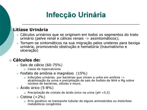 Patologias do Sistema Urinário ppt carregar