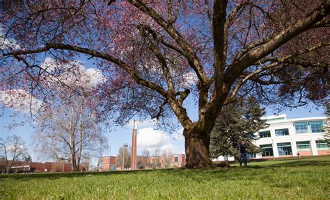 Spring Campus Clark College Flickr