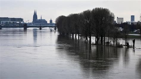 Wegen Tauwetter Und Regen Rhein Wasserst Nde Steigen Weiter Welt