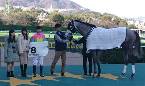 【阪神6r新馬戦】ハヤブサナンデクン、5馬身差で圧勝デビュー 武豊「まだまだ良くなりそう」 スポーツ報知