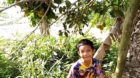 Di Kebun Mencari Rambutan Youtube