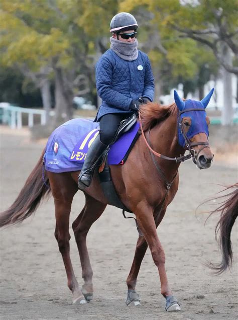 【フェブラリーs】レモンポップ 反動の懸念払拭、田中博師「活気もある」 スポニチ競馬web