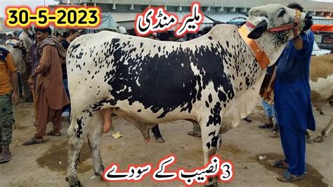 Malir Mandi Latest Update 2023 Malir Mandi Today Malir Mandi 2023