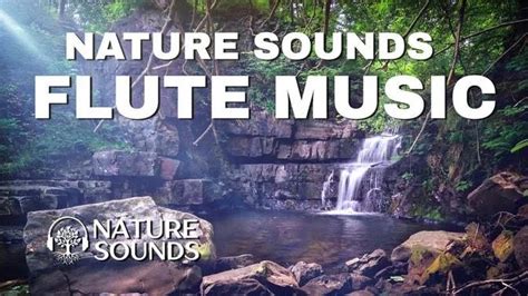 Nature Sounds Forest Sounds Flute Music Sounds Waterfall Nature