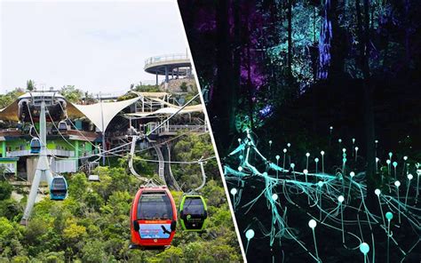 Dream Forest Langkawi Ticket & Langkawi SkyBridge Cable Car