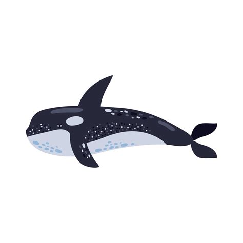 orca whale sealife 11088677 Vector Art at Vecteezy