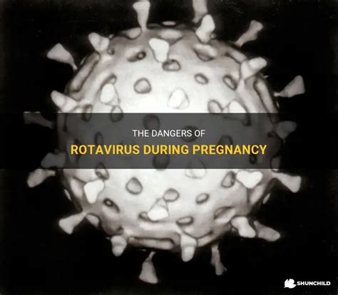 The Dangers Of Rotavirus During Pregnancy | ShunChild