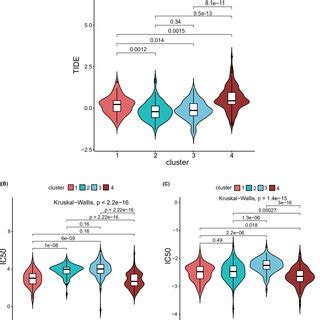 A Prediction Of ICI Therapy For Four Subtypes Of Bladder Cancer B