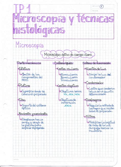 Solution Tp Microscopia Y Tecnicas Histologicas Studypool