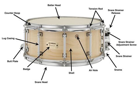 Anatomy of a Snare Drum