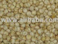 Snow White And Cattle Feed Sorghum Cameroon Price Supplier Food