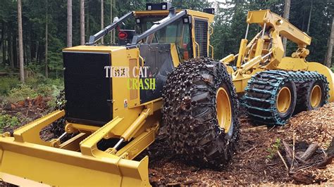 Tiger Cat H In Deep Mud Pit Youtube