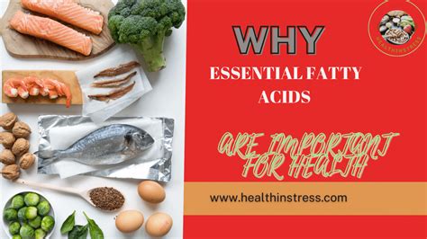 WHY ESSENTIAL FATTY ACIDS ARE IMPORTANT FOR HEALTH - NATURAL REMEDIES ...