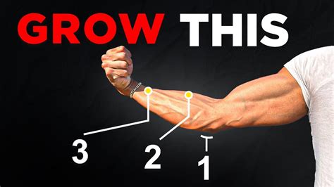 Unlock MASSIVE Forearms With These 3 Exercises Science Based YouTube