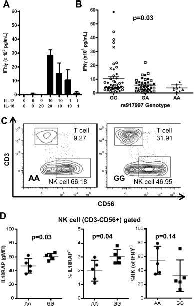 Ifnγ Produced By Nk Cells In Pbmc Culture Following Il 12 And Il 18