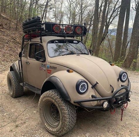 Custom Lifted Vw Bugs