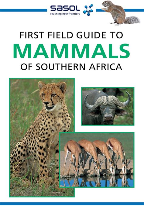 Sasol First Field Guide to Mammals of Southern Africa eBook by Sean ...