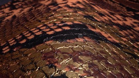 Exotic Snake Skin Leather Real Leather Texture Very Close Up Natural