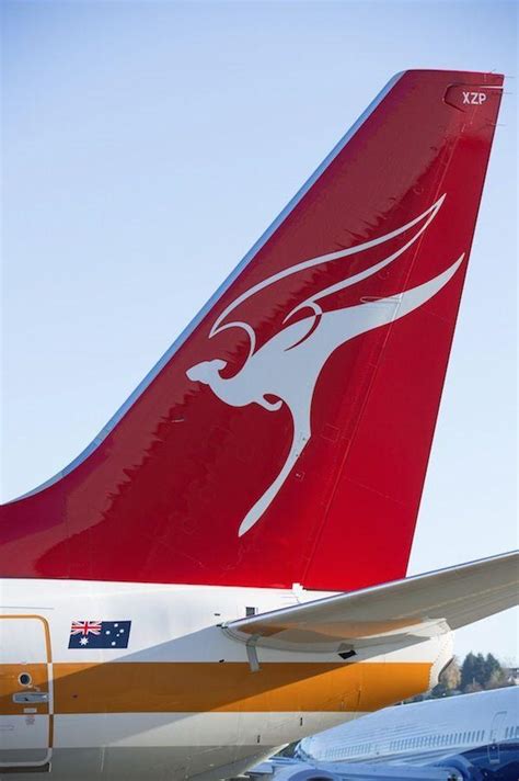 kangaroo airline logo logodix