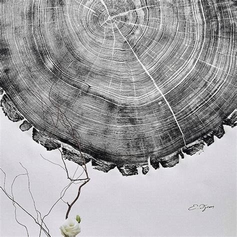 Tree Ring Art - Etsy