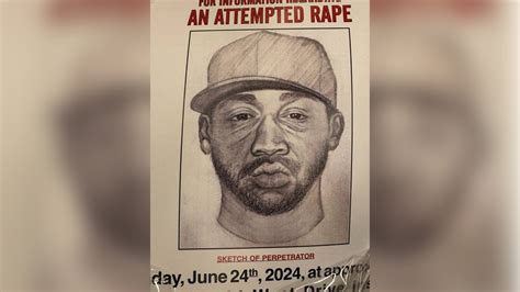 Central Park Sex Assault Person Of Interest In Custody In Attack Of