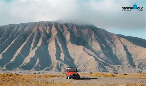 Paket Wisata Gunung Bromo Dari Malang Satu Hari Sejuta Keindahan