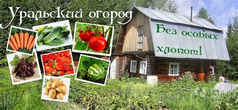 Уральский огород - без особых хлопот!: СЕЗОННЫЕ РАБОТЫ НА ОГОРОДЕ: ВЕСНА!