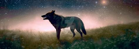 Lakota Skinwalker wolf at dawn by LowThunders on DeviantArt