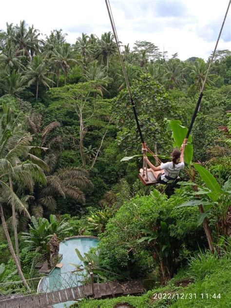 Bali Swing And Nest Ubud Rice Terrace