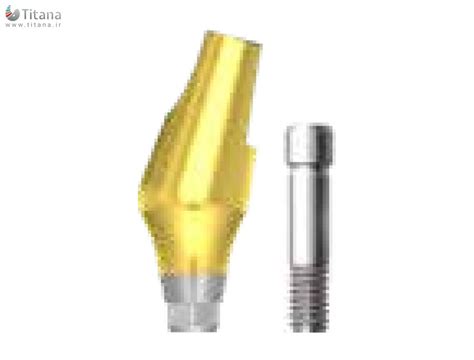 Dentium Superline And Implantium Angled Abutment Titana Industrial Group