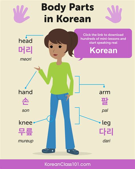 Artsycraftyt On Twitter Rt Koreanclass Do You Know Your Body